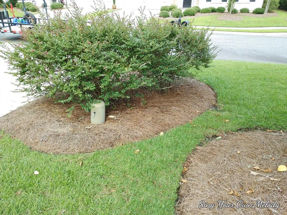 Local landscape design experts serving Pooler, GA - Lawn N Order Special Clippings Unit