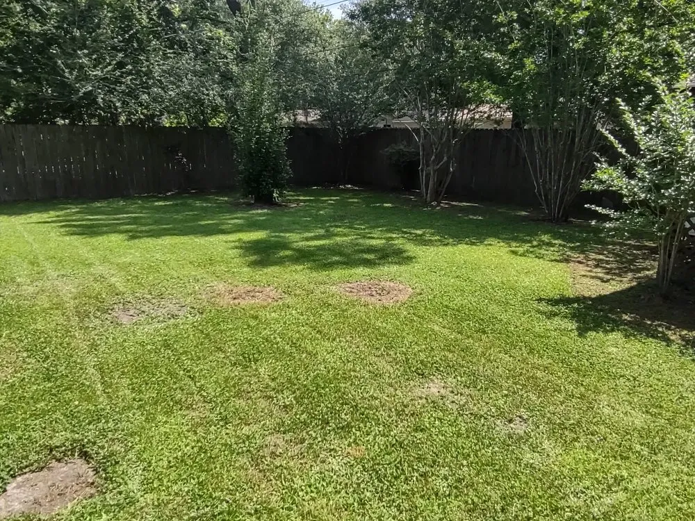 Top-rated residential landscaping experts serving Pooler, GA - Lawn N Order Special Clippings Unit