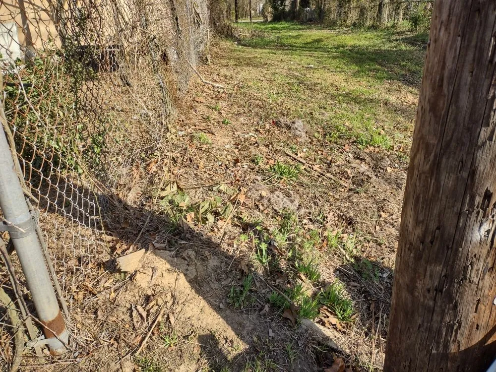 Trusted lawn mowing service for beautiful yards across Pooler, GA - Lawn N Order Special Clippings Unit