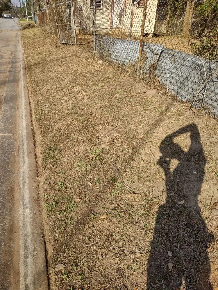 Local landscape design for outdoor upgrades across Pooler, GA - Lawn N Order Special Clippings Unit