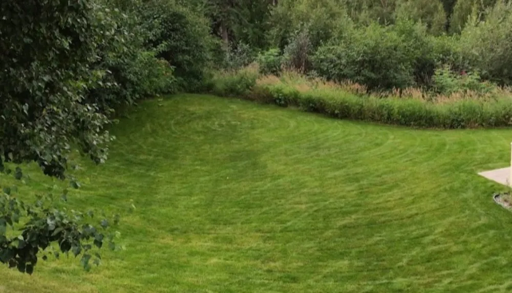 Expert landscape design for homes across Anchorage, AK - Lawn N Order Special Grass Unit