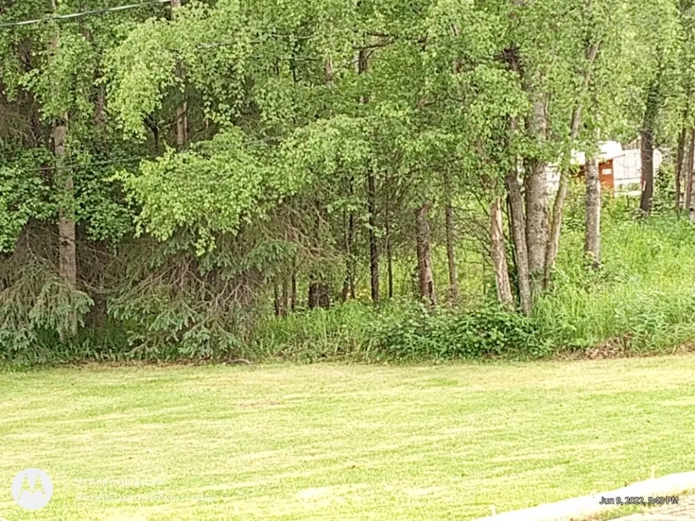 Custom lawn mowing service for outdoor upgrades across Anchorage, AK - Lawn N Order Special Grass Unit