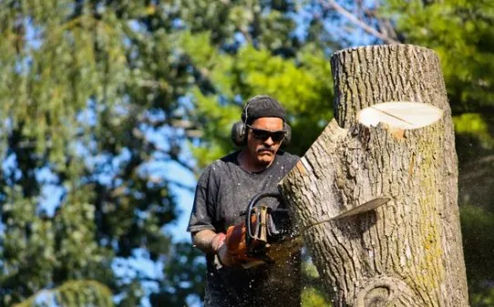 Custom landscape design for year-round maintenance across Shelby, NC - Lawn-N-Order Tree Service