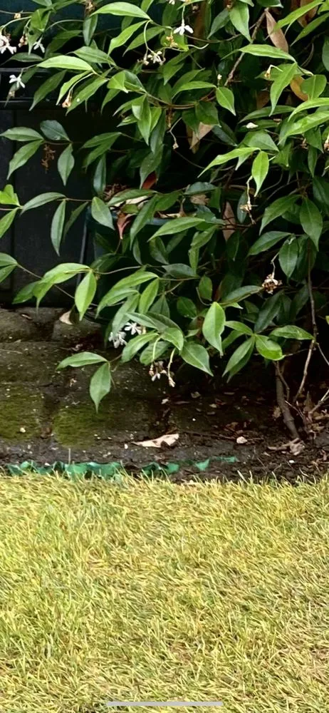 Trusted landscape installation experts serving Wentzville, MO - Lawn N Order