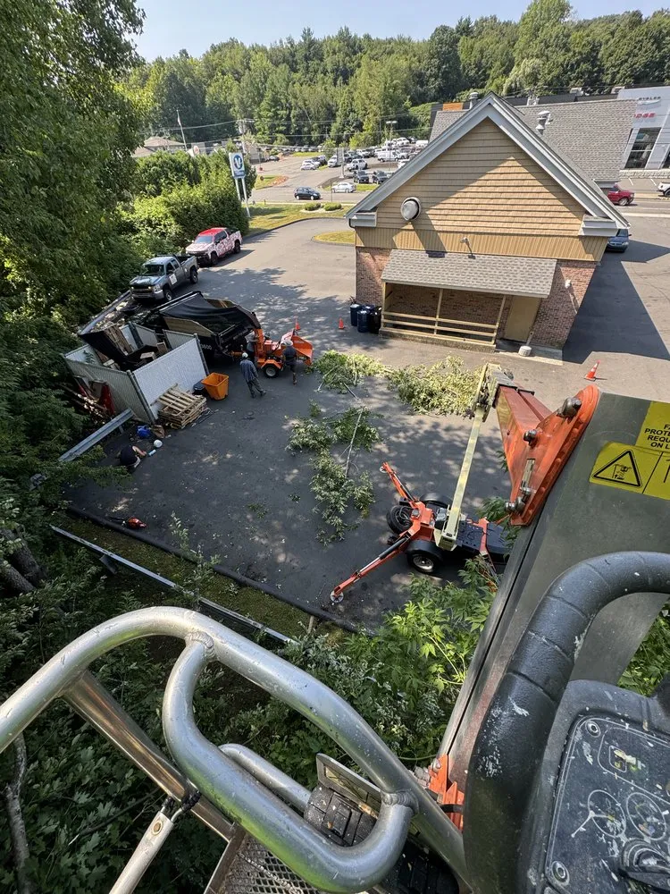 Local landscape design for year-round maintenance across New Britain, CT - Lawn &nd Order