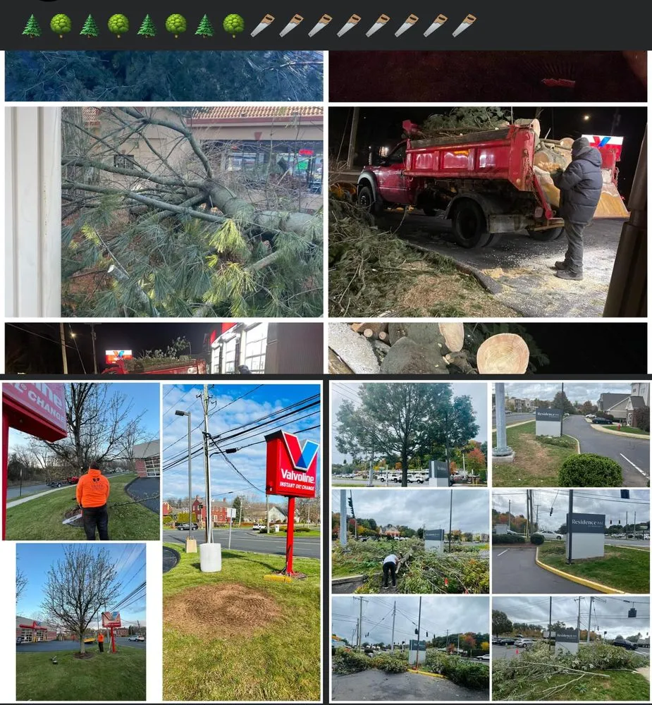 Affordable lawn care service in New Britain, CT by Lawn &nd Order