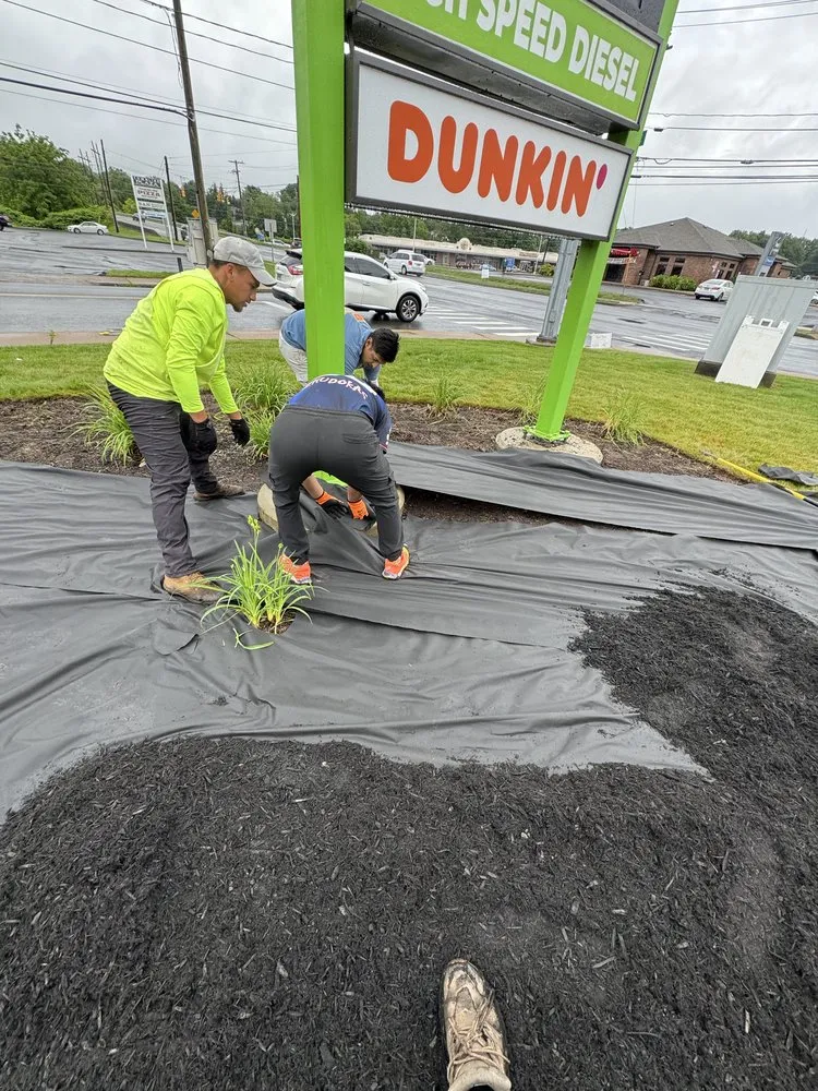 Local yard maintenance in New Britain, CT - Lawn &nd Order