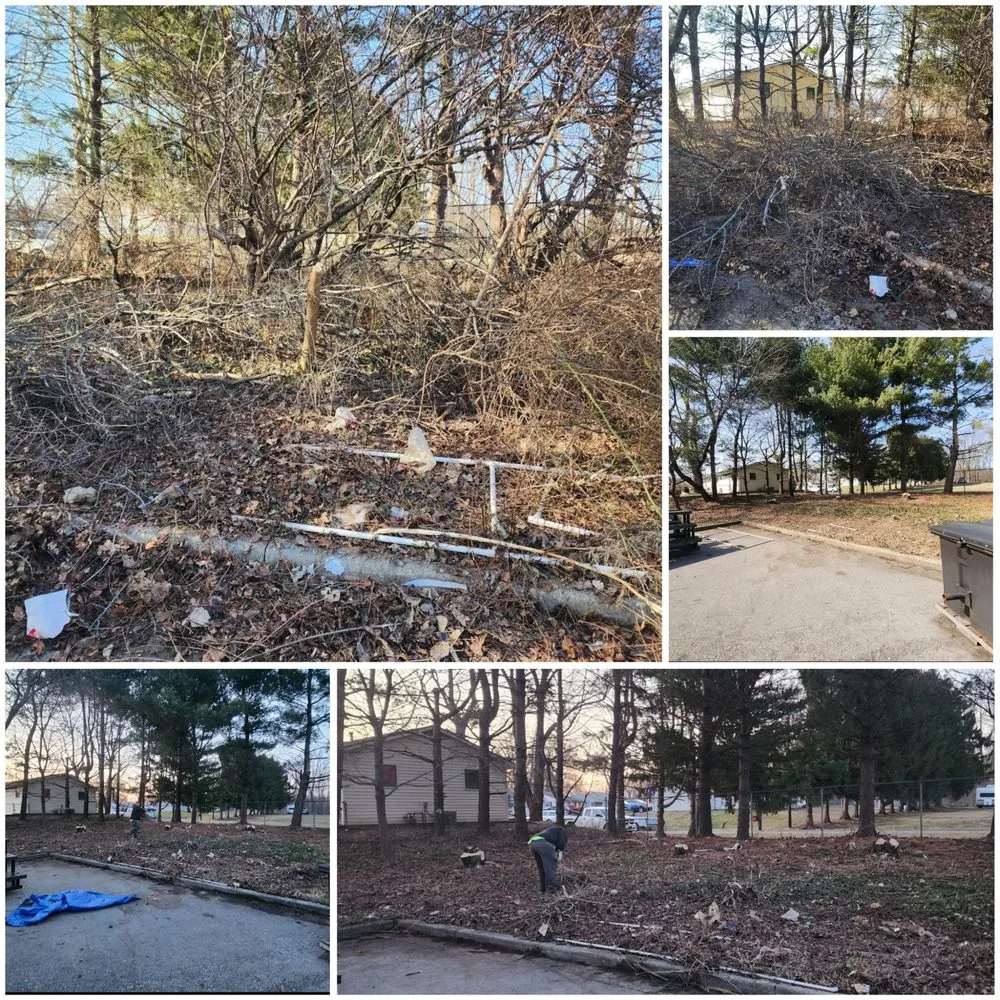 Reliable landscaping services for year-round maintenance in Indianapolis, IN by Lawn Nerds