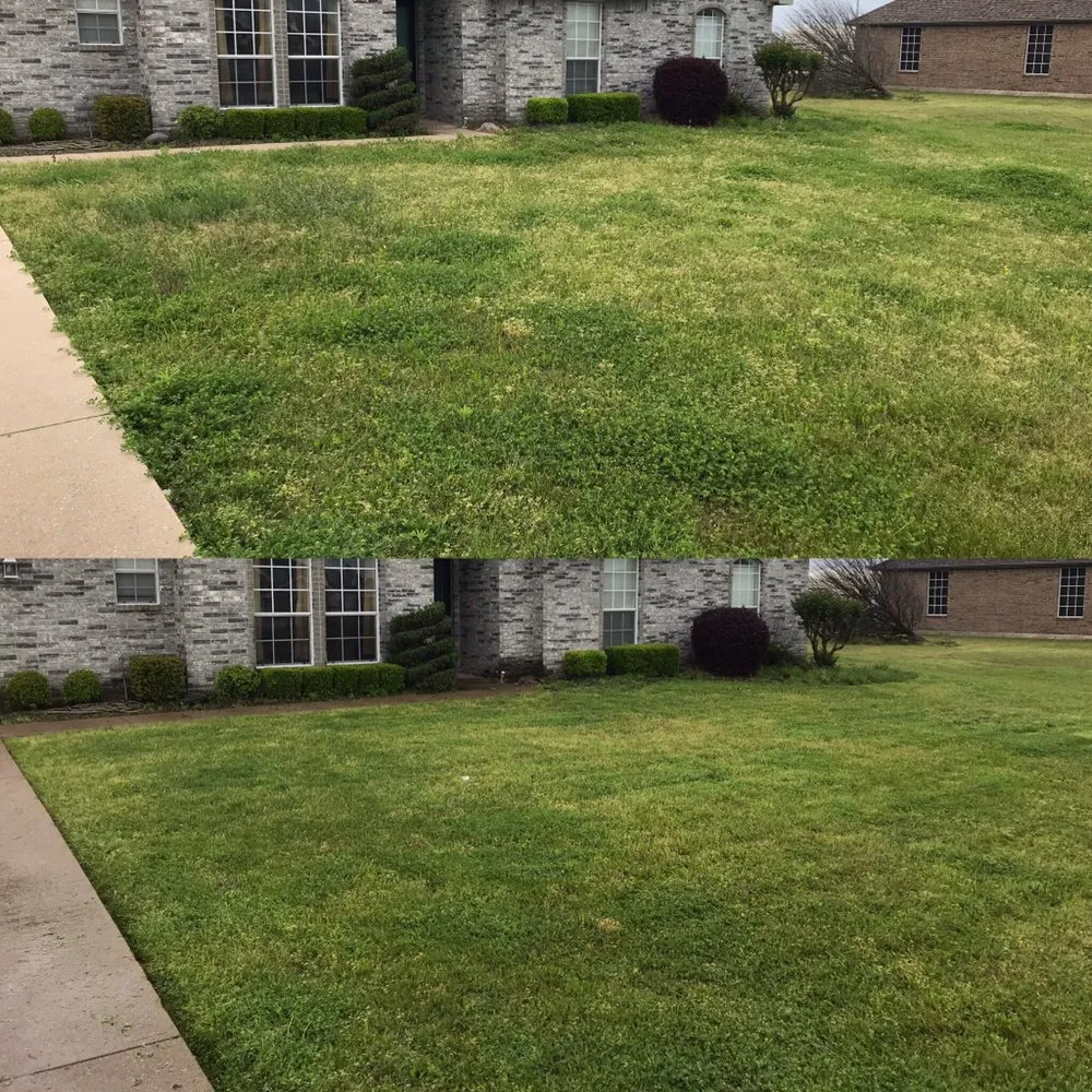 Top-rated landscape design experts serving Royse City, TX - Lawn Nerds