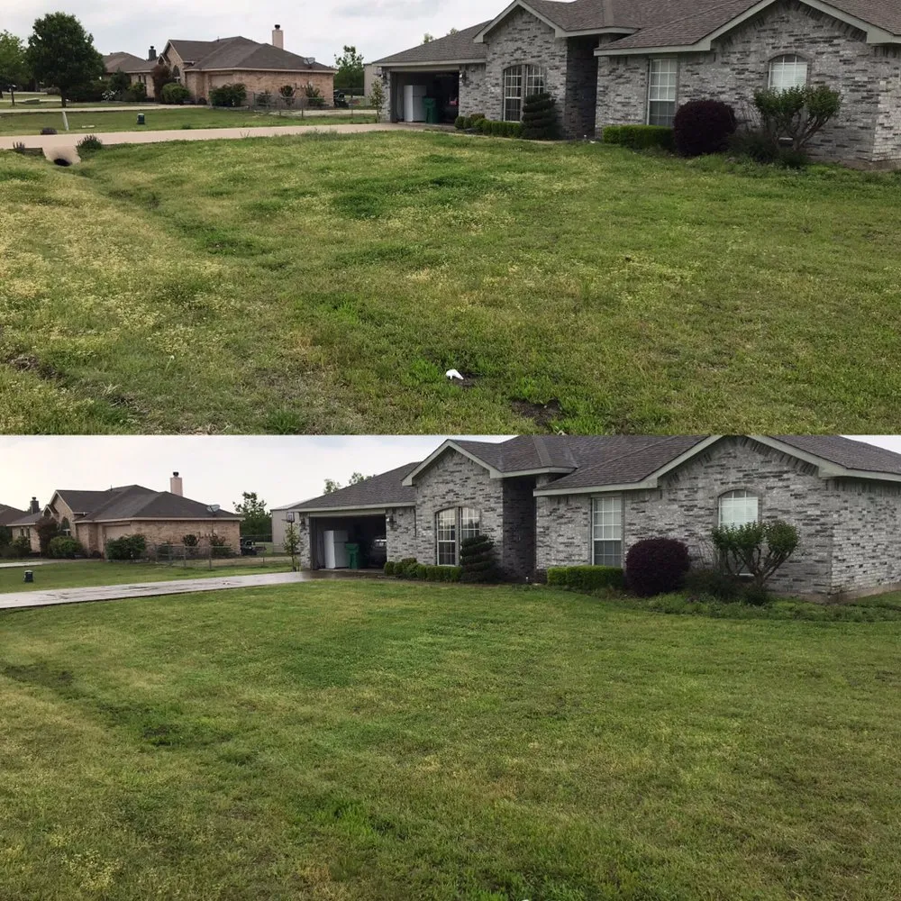 Expert yard maintenance in Royse City, TX by Lawn Nerds