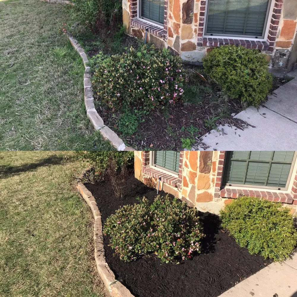 Expert yard cleanup service in Royse City, TX - Lawn Nerds