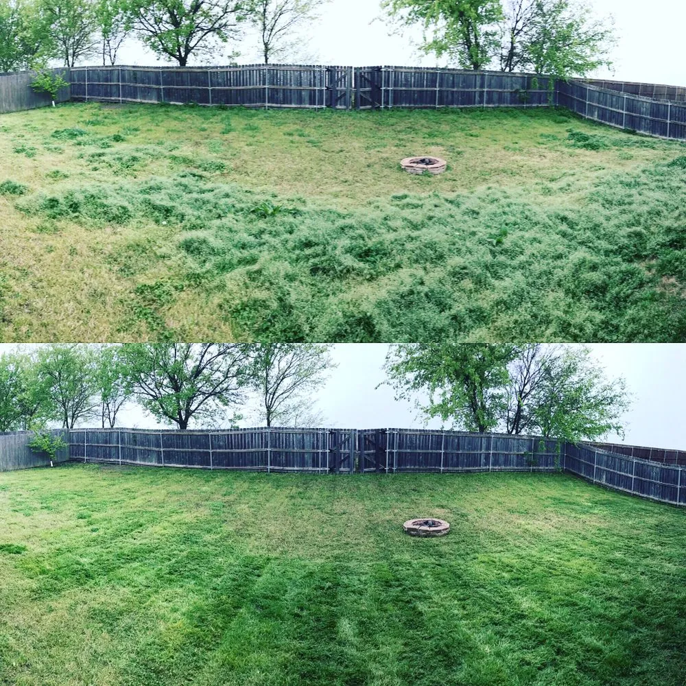 Trusted landscape design near you in Royse City, TX by Lawn Nerds