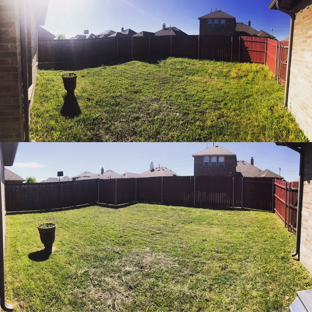 Professional yard maintenance in Royse City, TX - Lawn Nerds