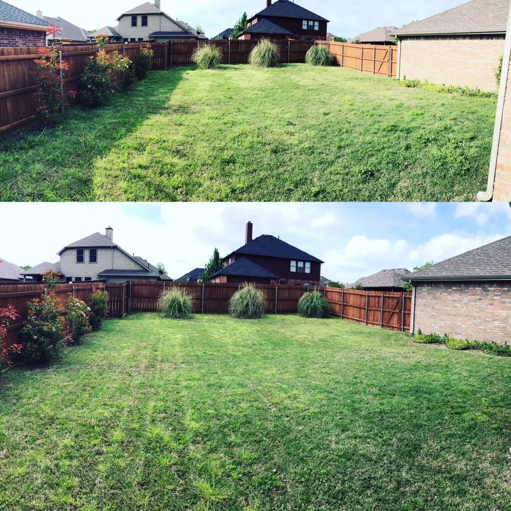Affordable yard cleanup service for beautiful yards in Royse City, TX by Lawn Nerds