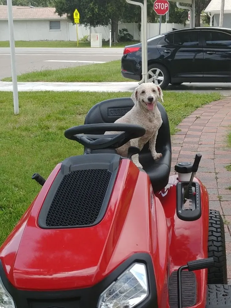 Trusted landscaping services experts serving Bradenton, FL - Lawn Ninja