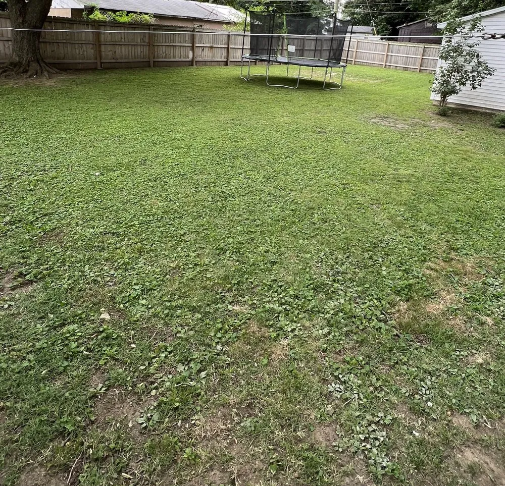 Top-rated outdoor landscaping in Mount Vernon, IN - Lawn Ninja