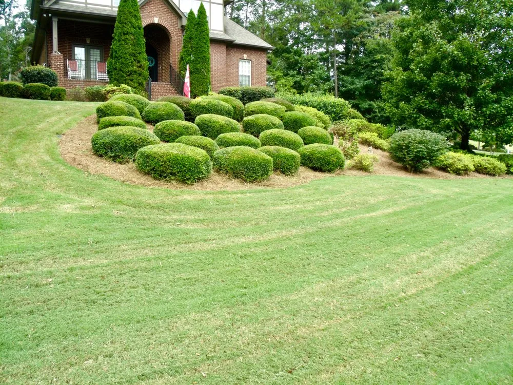 Affordable lawn mowing service in Pelham, AL - Lawn of Eden