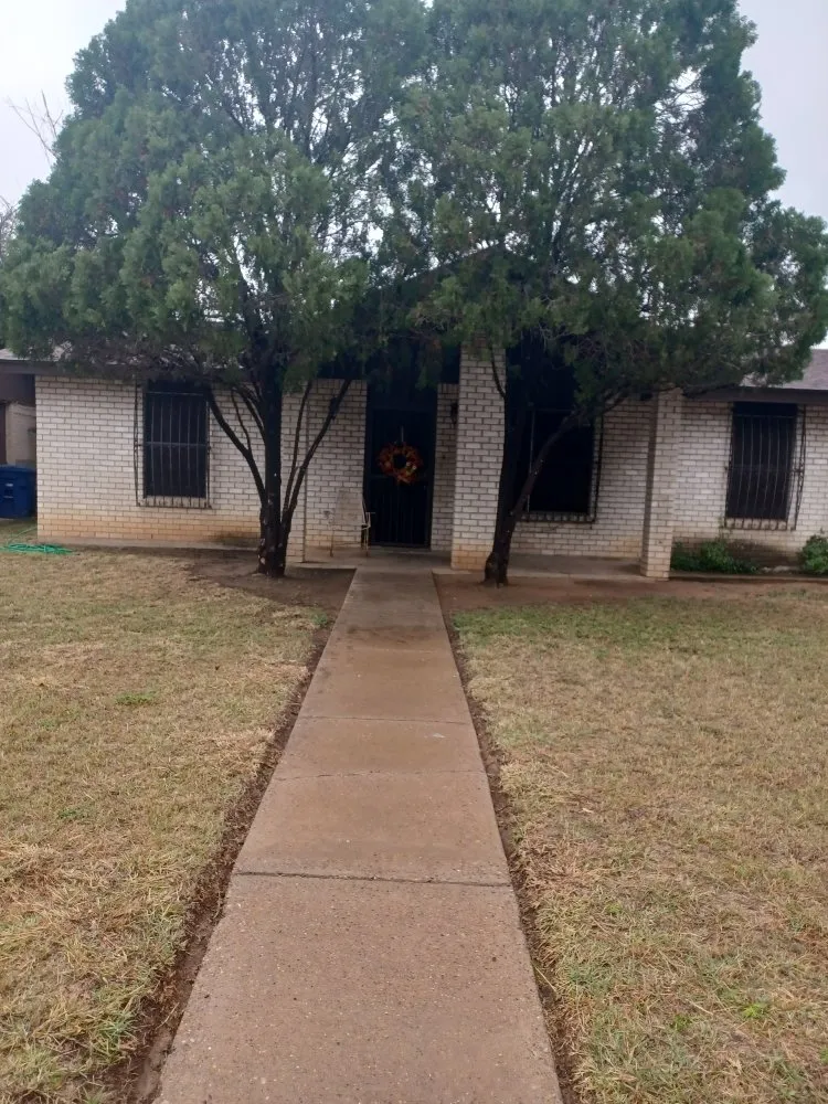 Top-rated residential landscaping for beautiful yards across Laredo, TX - Lawn of Laredo