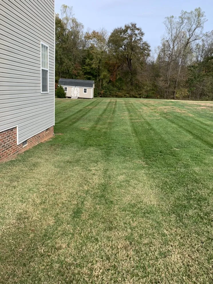 Custom outdoor landscaping for outdoor upgrades across Lexington, NC - Lawn Officers