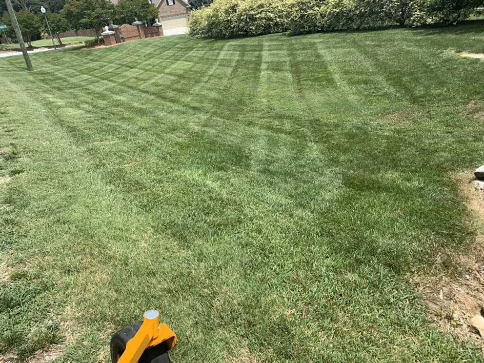Reliable landscape installation near you in Lexington, NC by Lawn Officers