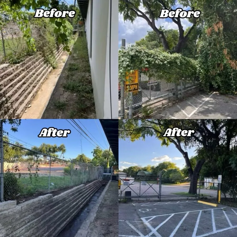 Expert landscape installation for residential properties across Austin, TX - Lawn On