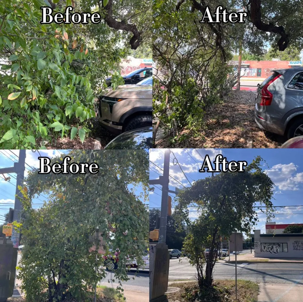 Custom outdoor landscaping for year-round maintenance in Austin, TX by Lawn On