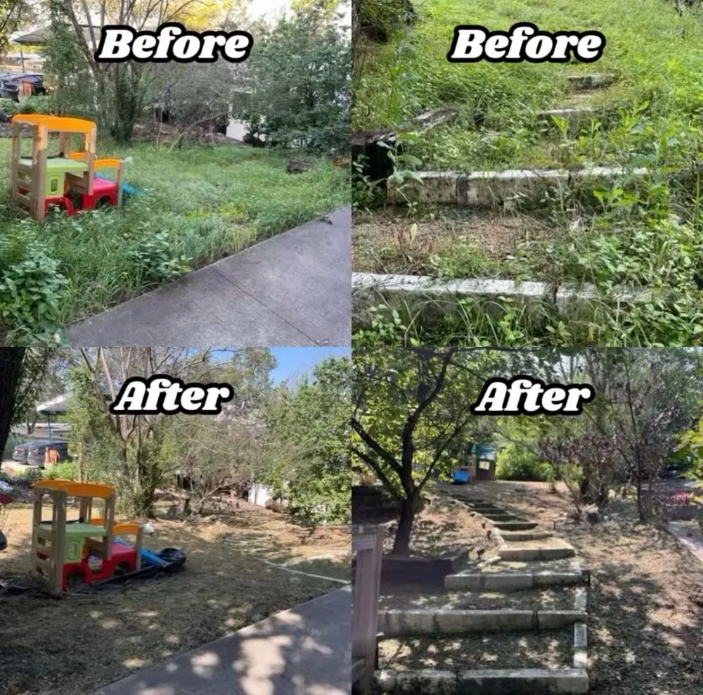Reliable yard cleanup service experts serving Austin, TX - Lawn On