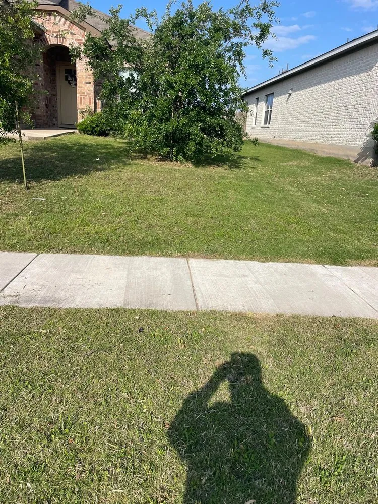Professional yard maintenance in Austin, TX - Lawn On