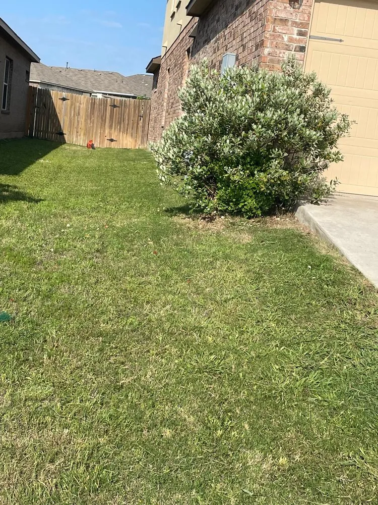 Reliable lawn mowing service for outdoor upgrades across Austin, TX - Lawn On