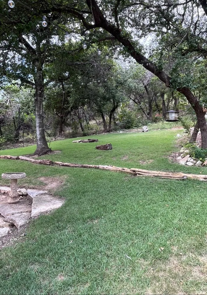 Trusted landscape installation experts serving Austin, TX - Lawn On