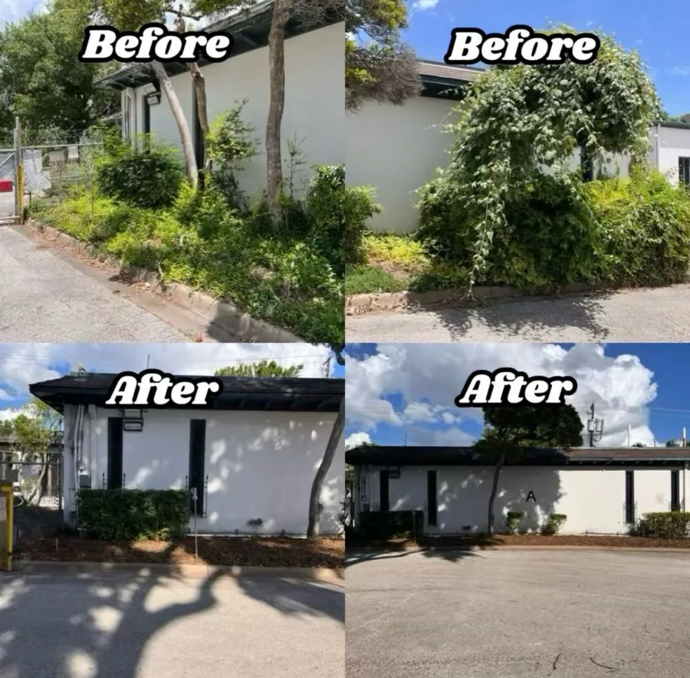 Affordable lawn care service experts serving Austin, TX - Lawn On