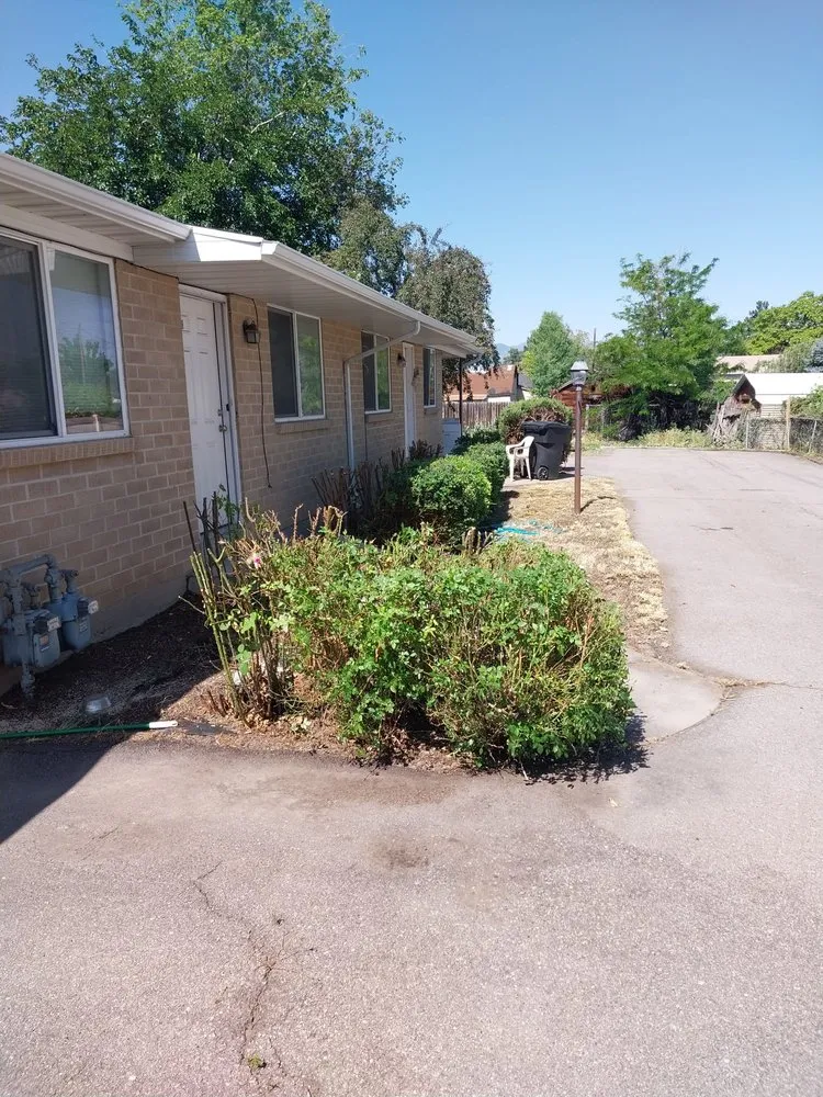 Affordable yard cleanup service in West Jordan, UT - Lawn One