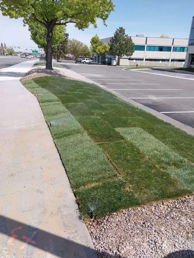 Professional yard cleanup service for homes in West Jordan, UT by Lawn One