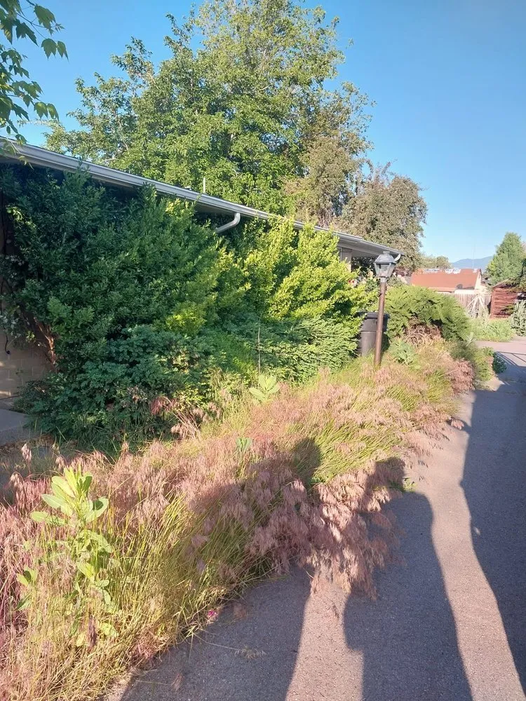 Trusted outdoor landscaping in West Jordan, UT - Lawn One