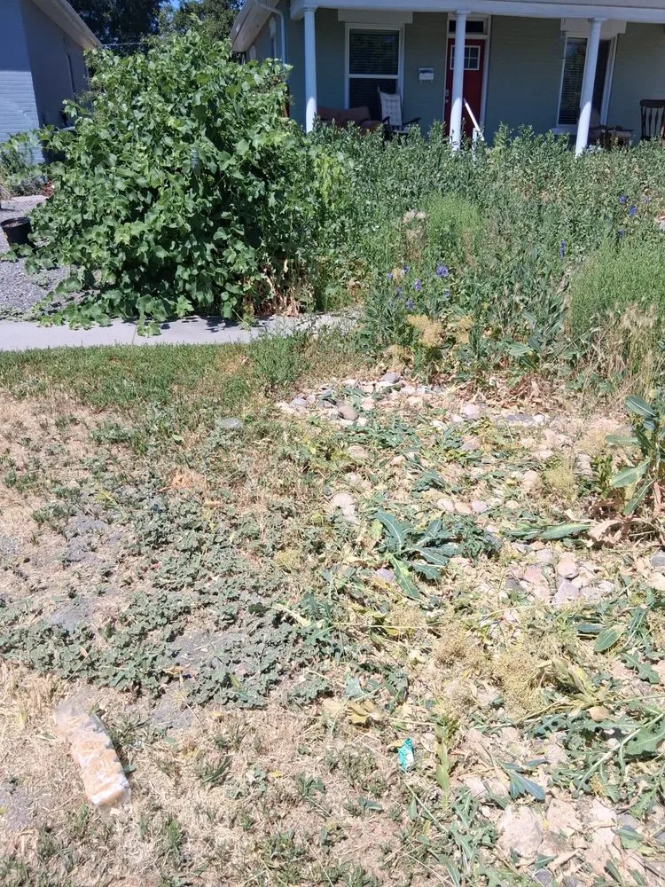 Expert residential landscaping near you in West Jordan, UT by Lawn One