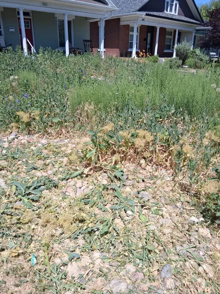 Top-rated lawn mowing service experts serving West Jordan, UT - Lawn One