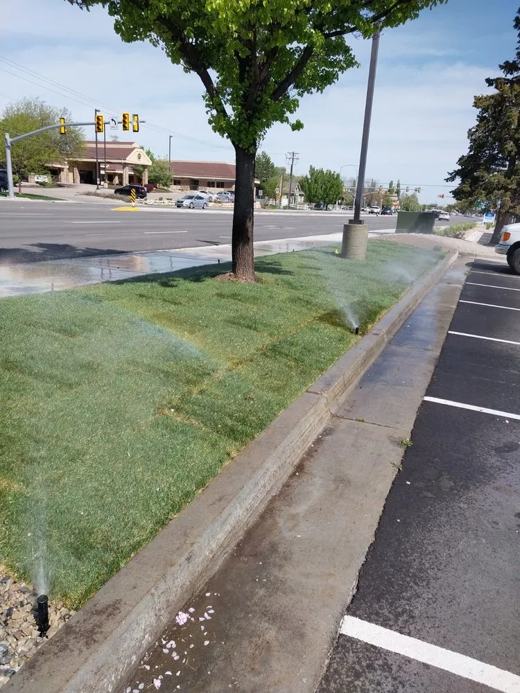 Professional yard cleanup service in West Jordan, UT by Lawn One