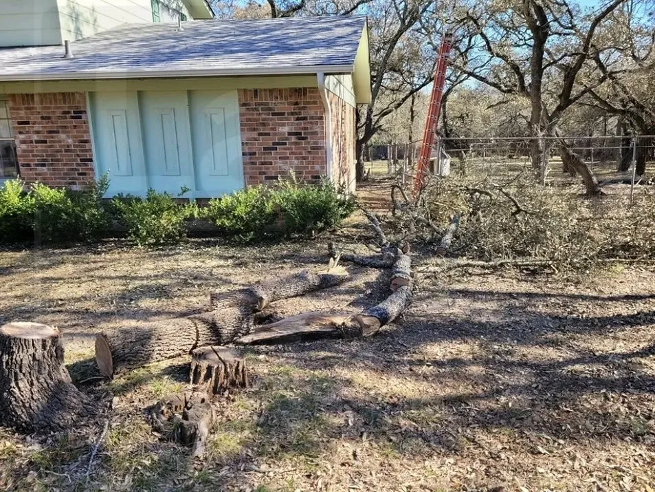 Top-rated yard cleanup service in Round Rock, TX - Lawn Operations