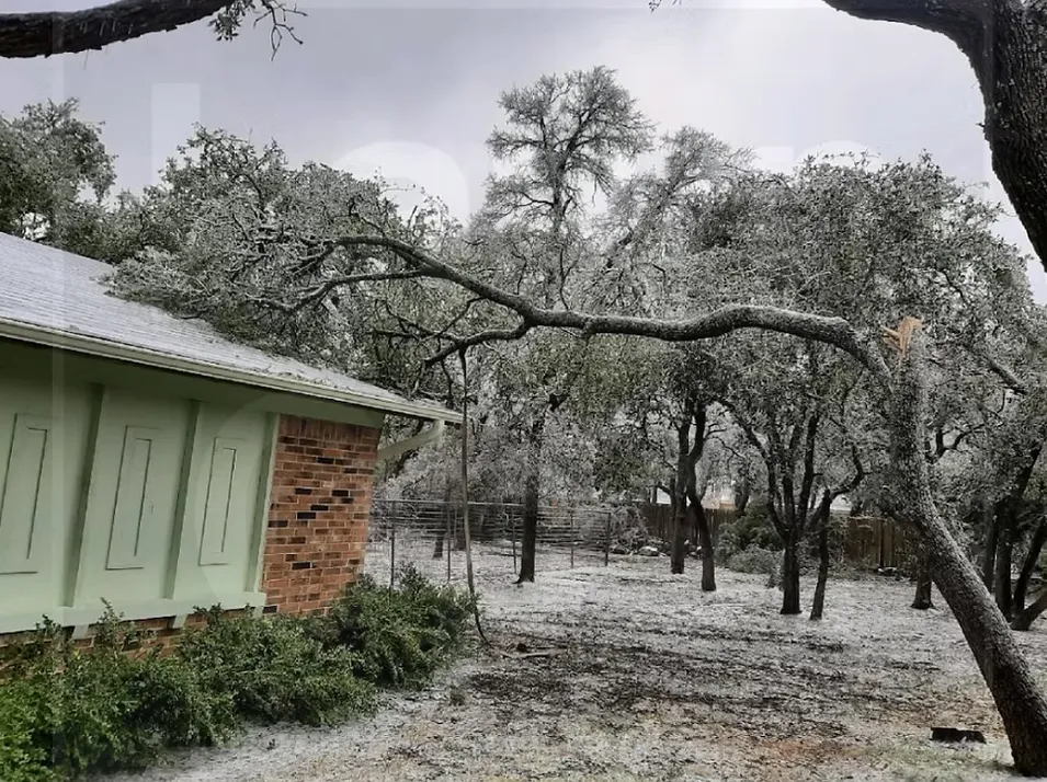 Local outdoor landscaping for beautiful yards in Round Rock, TX by Lawn Operations