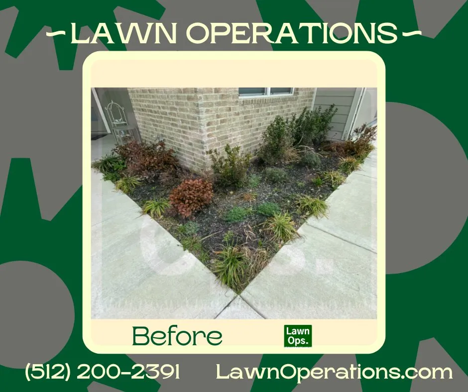 Top-rated landscaping services experts serving Round Rock, TX - Lawn Operations