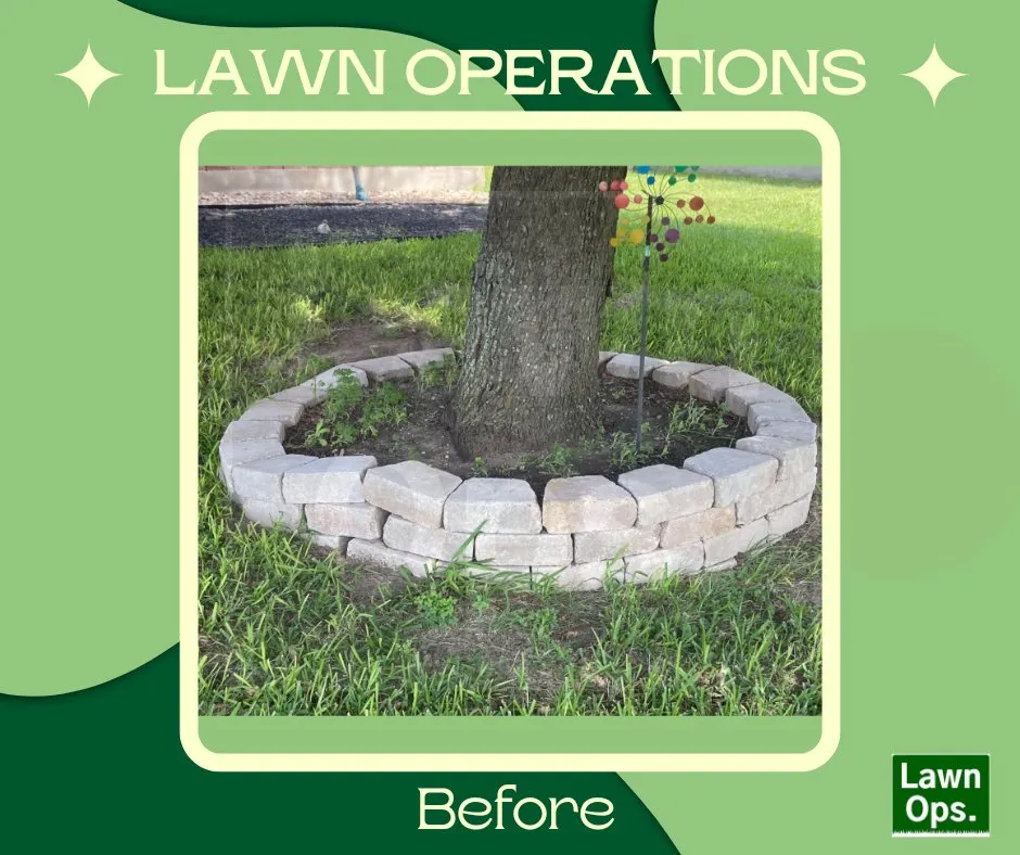 Local lawn care service for outdoor upgrades across Round Rock, TX - Lawn Operations