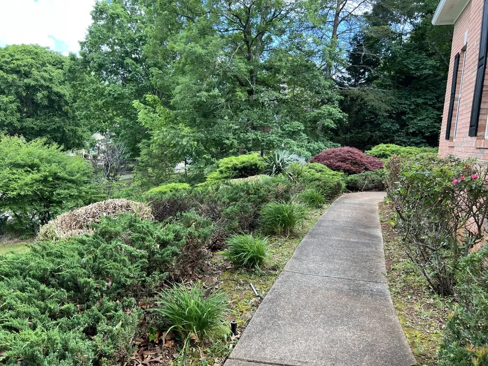 Professional landscaping services experts serving Cumming, GA - Lawn Order