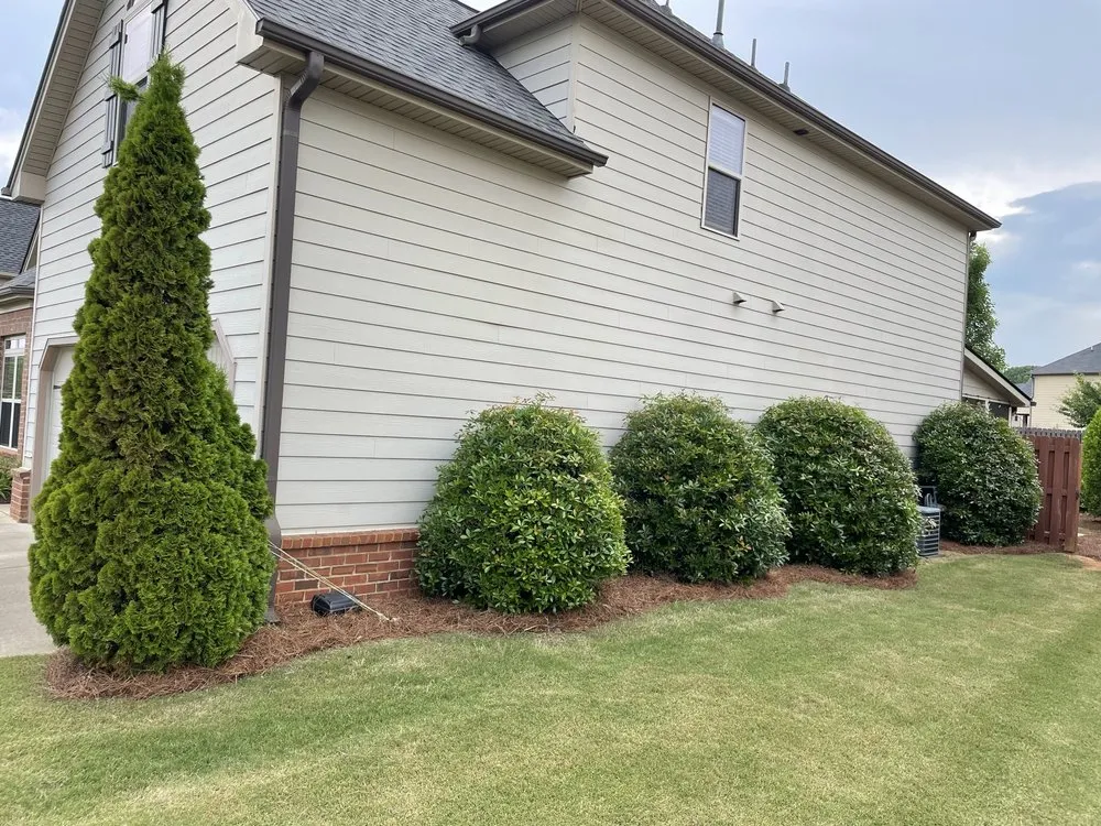 Trusted lawn care service for year-round maintenance in Cumming, GA by Lawn Order