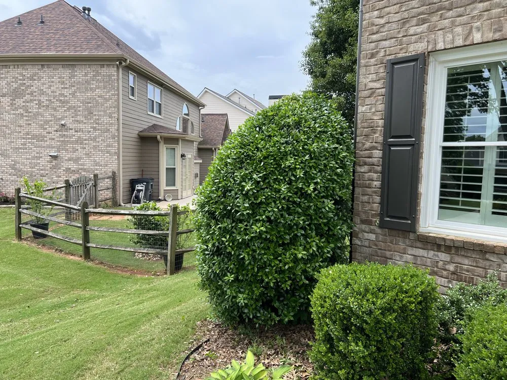 Professional outdoor landscaping in Cumming, GA by Lawn Order