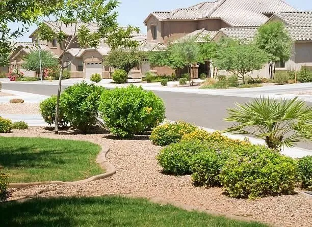Custom landscape design near you in Henderson, NV by Lawn Order Lawn Maintenance