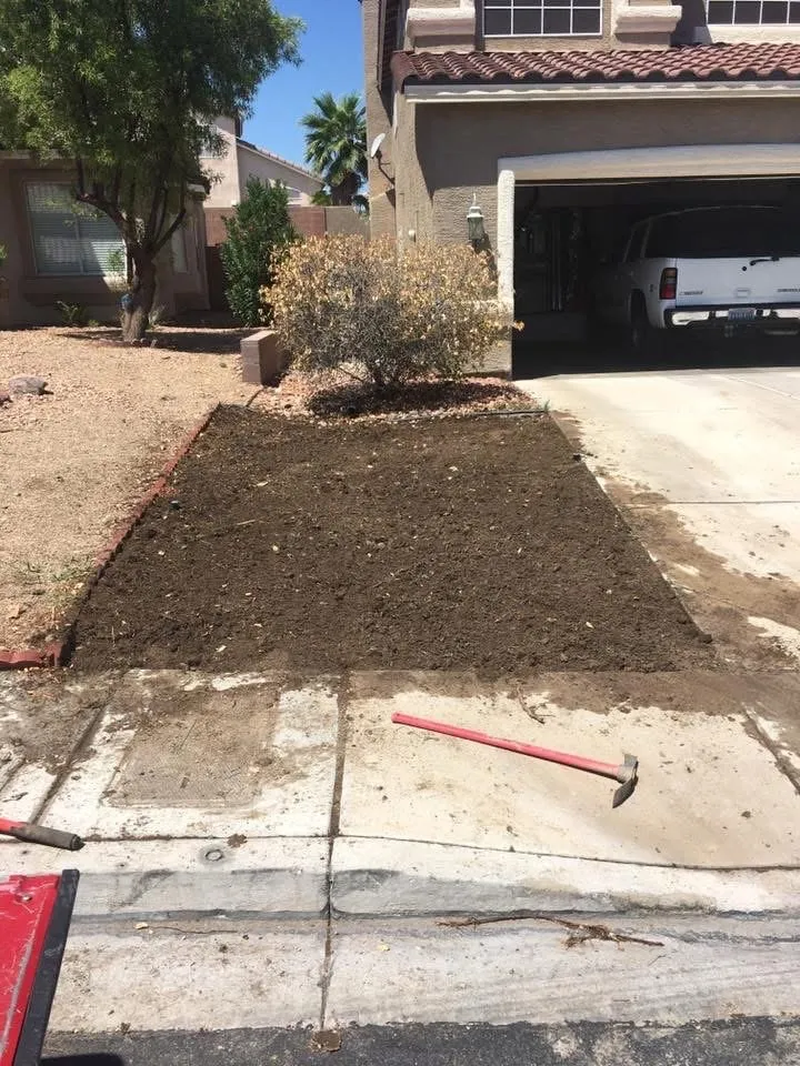 Top-rated outdoor landscaping in Henderson, NV - Lawn Order Lawn Maintenance
