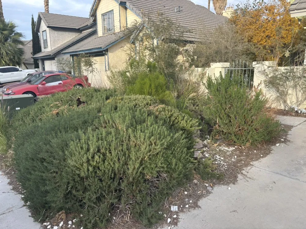 Top-rated landscape installation for year-round maintenance in Henderson, NV by Lawn Order Lawn Maintenance