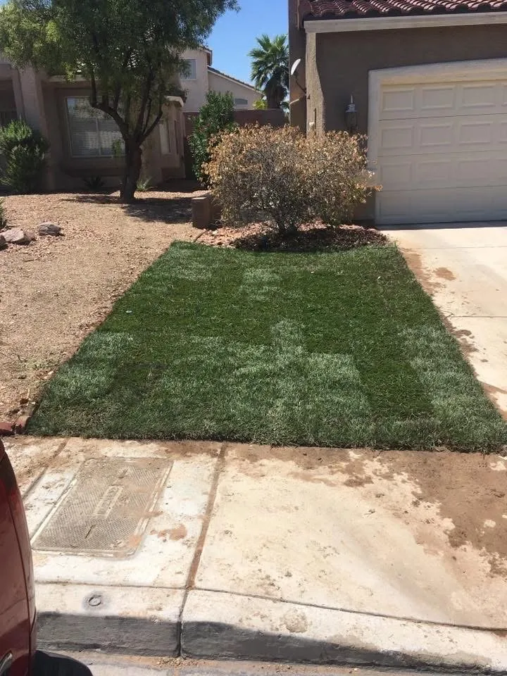 Reliable residential landscaping in Henderson, NV - Lawn Order Lawn Maintenance