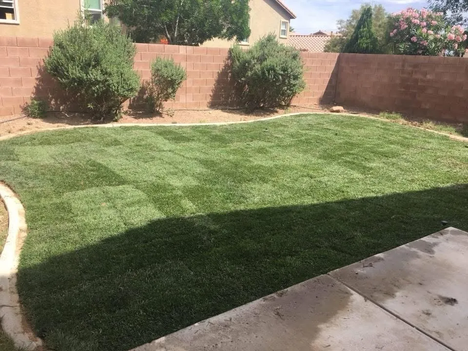 Top-rated residential landscaping for residential properties in Henderson, NV by Lawn Order Lawn Maintenance