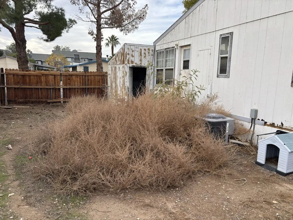 Affordable lawn care service near you in Henderson, NV by Lawn Order Lawn Maintenance